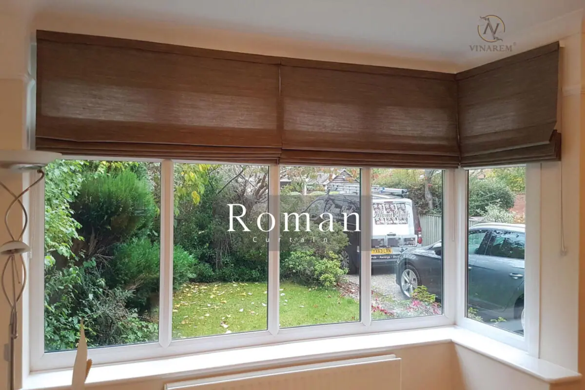 roman 1.1