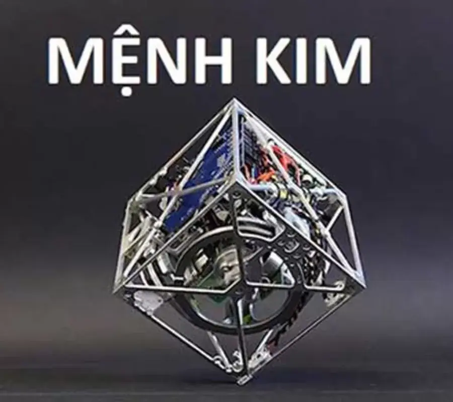 rem cua cho ngguoi menh kim jpg